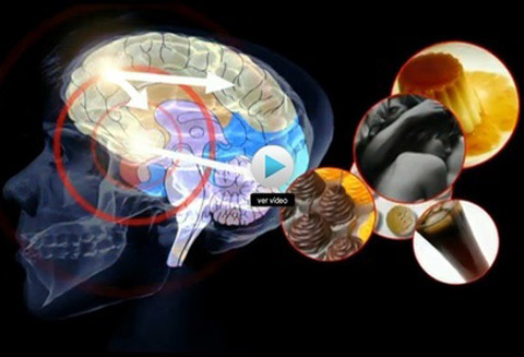 Neuromarketing - Seducir al consumidor