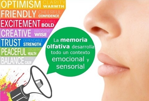 5 motivos por los que debes realizar marketing olfativo.